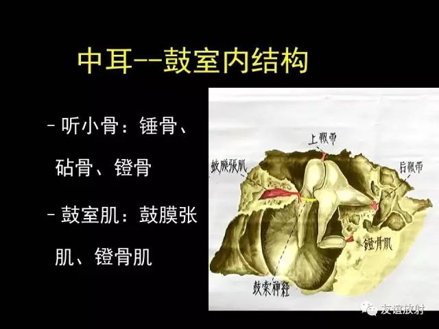 【PPT】颞骨影像解剖