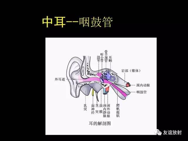 【PPT】颞骨影像解剖