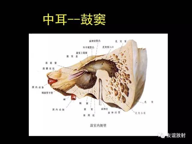 【PPT】颞骨影像解剖