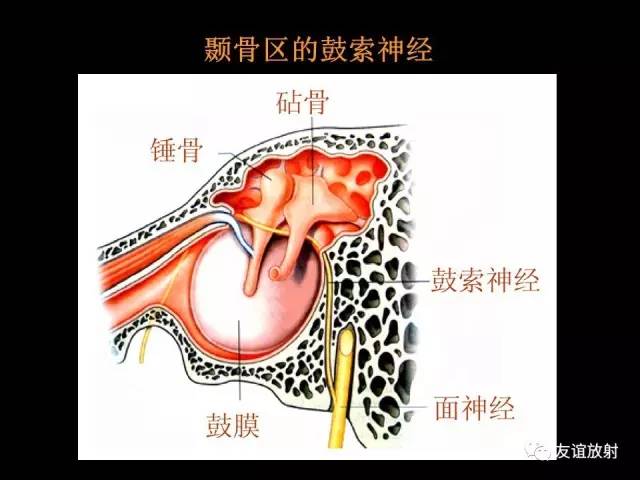 【PPT】颞骨影像解剖