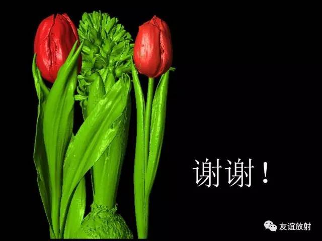 【PPT】颞骨影像解剖