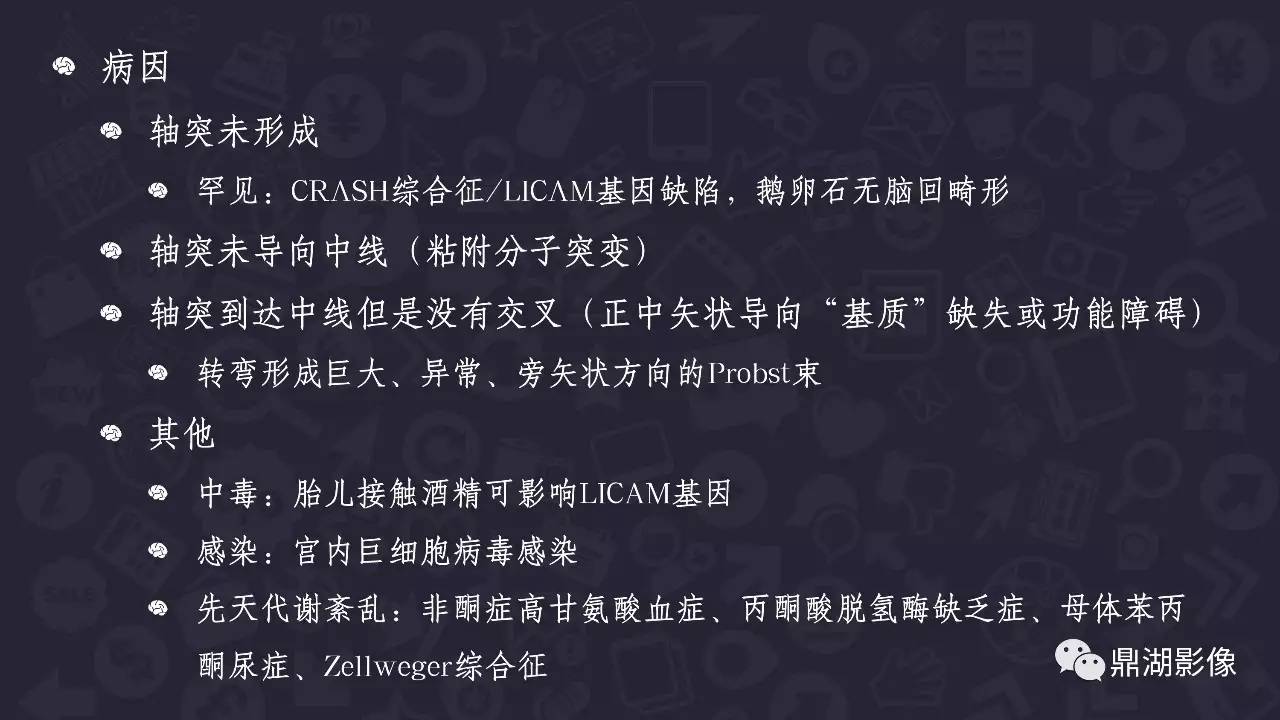 【PPT】胼胝体发育不全 【PPT】胼胝体发育不全