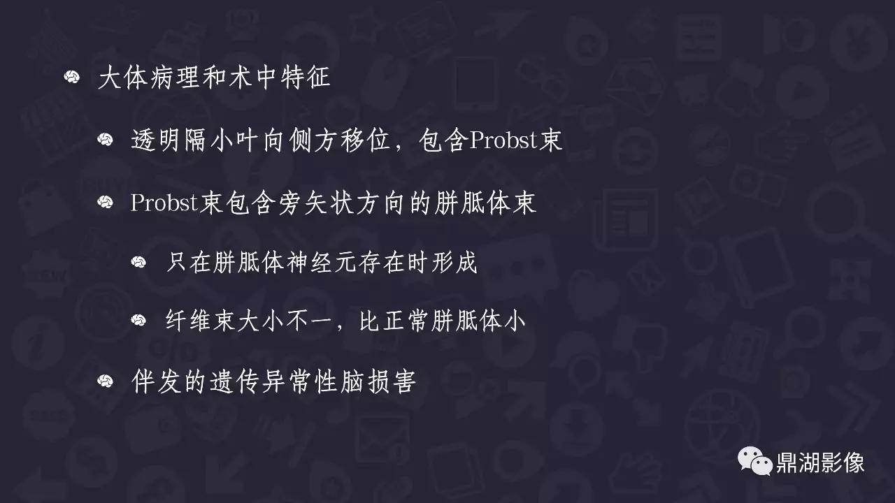 【PPT】胼胝体发育不全 【PPT】胼胝体发育不全