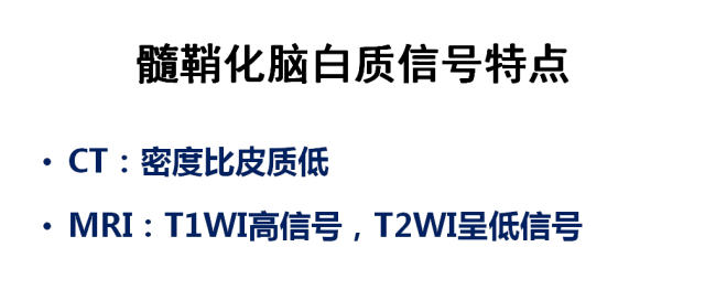 【PPT】髓鞘发育的MRI表现