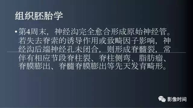 【病例】胸腰椎变异1例影像诊断分析
