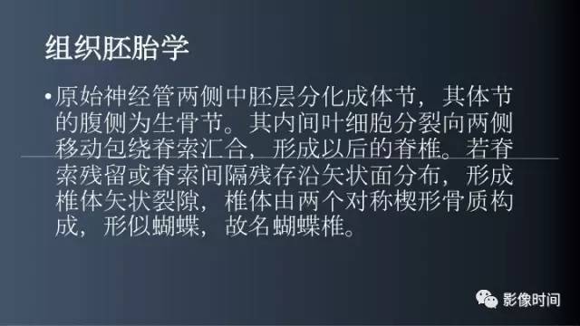【病例】胸腰椎变异1例影像诊断分析