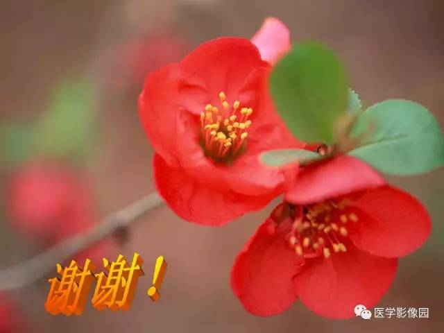 【PPT】颅内环状强化病变的影像学诊断及鉴别