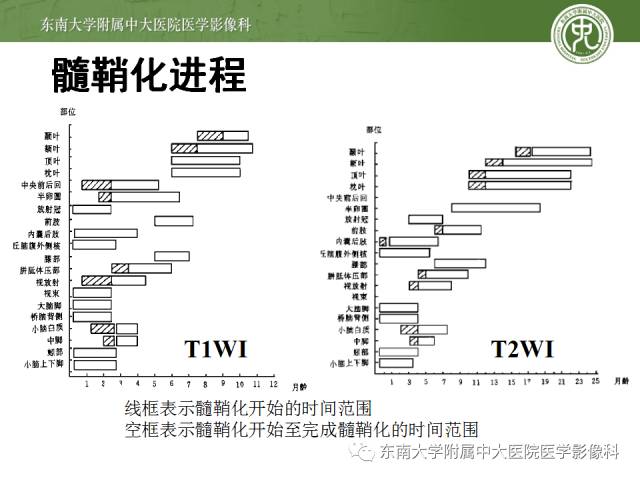 【病例】脑白质发育稍缓，脑外间隙增宽1例MR