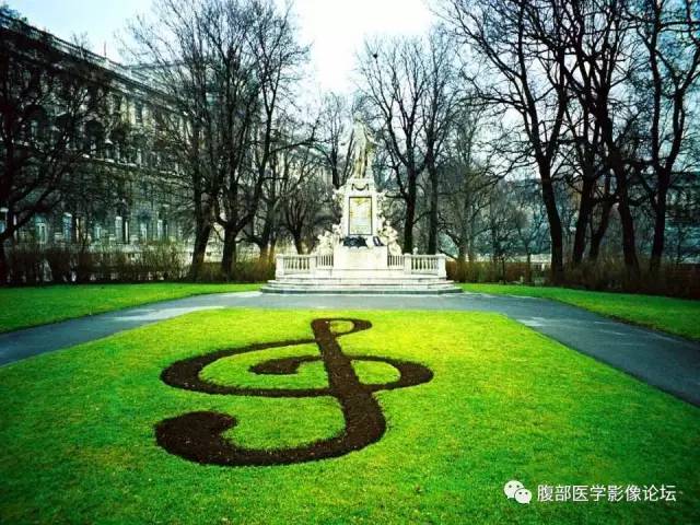 【PPT】绞窄性肠梗阻CT诊断