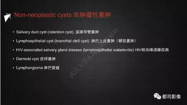 【PPT】腮腺囊性病变影像诊断