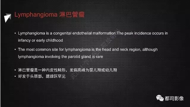 【PPT】腮腺囊性病变影像诊断