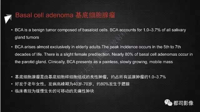 【PPT】腮腺囊性病变影像诊断