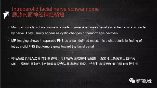 【PPT】腮腺囊性病变影像诊断