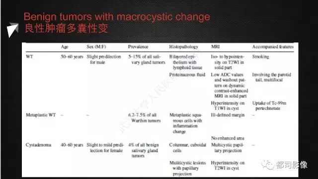 【PPT】腮腺囊性病变影像诊断