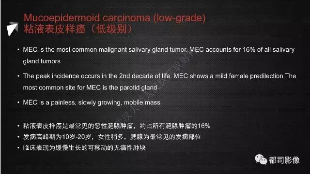 【PPT】腮腺囊性病变影像诊断