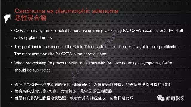 【PPT】腮腺囊性病变影像诊断