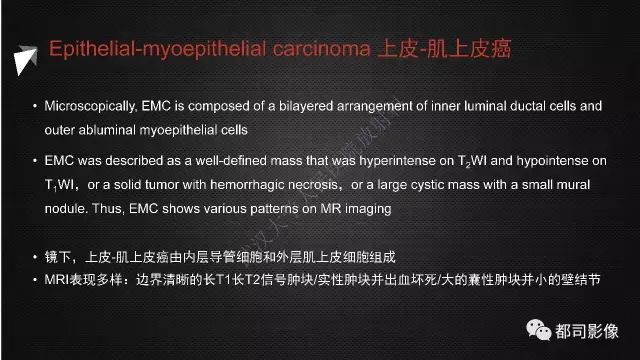 【PPT】腮腺囊性病变影像诊断