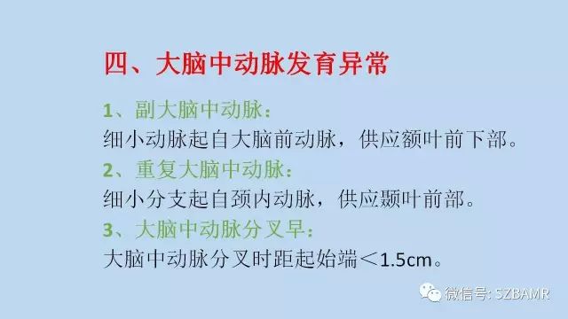 【PPT】脑动脉正常变异MRA总结