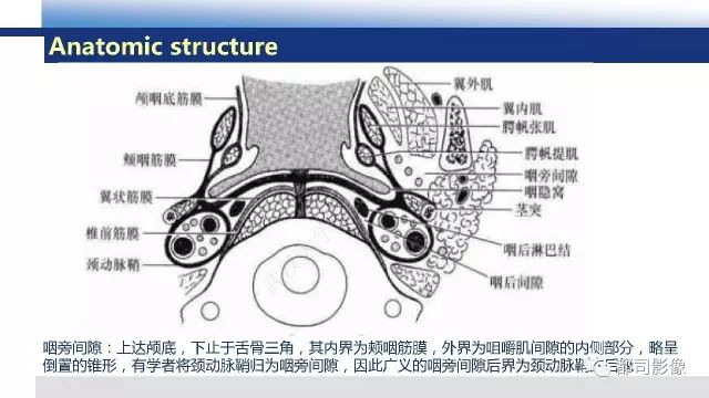 【PPT】鼻咽肿瘤性病变影像诊断