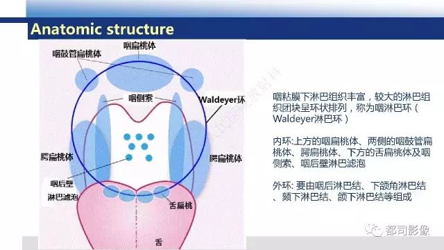 【PPT】鼻咽肿瘤性病变影像诊断