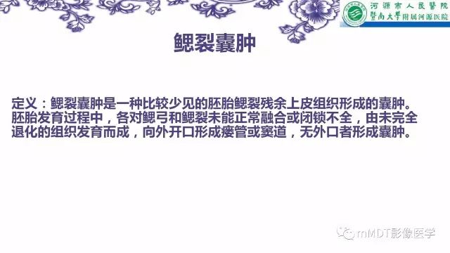 【PPT】鳃裂囊肿影像表现