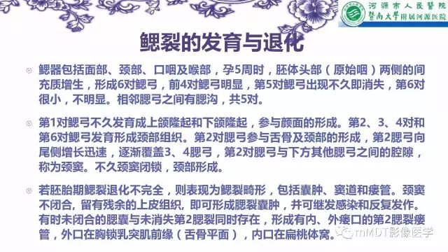 【PPT】鳃裂囊肿影像表现