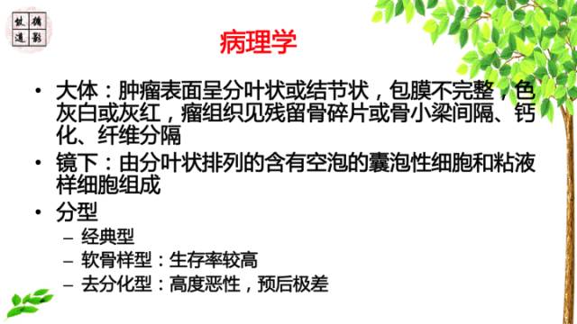 【病例】鞍区脊索瘤1例CT及MR影像表现