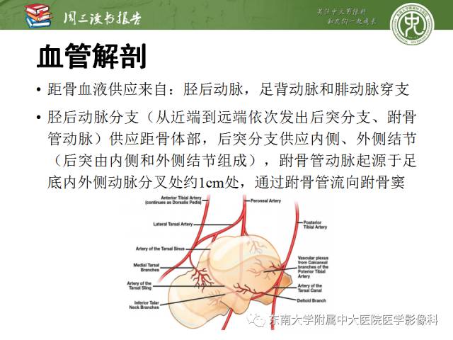 【PPT】距骨骨折与脱位：放射科医师及时诊断与分类指南