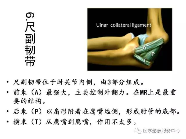【PPT】肘关节MRI