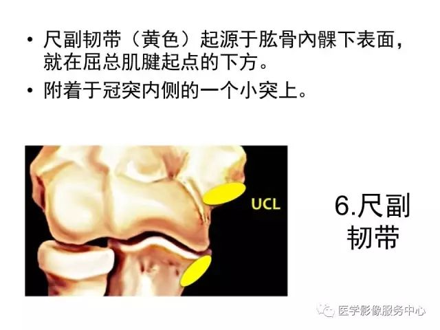 【PPT】肘关节MRI