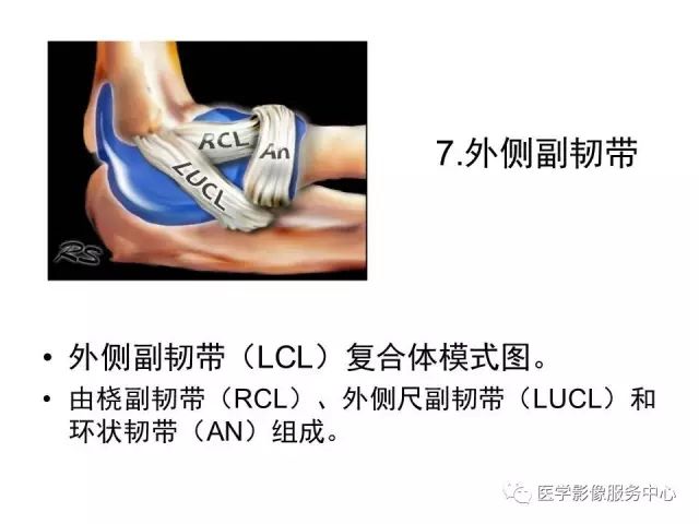 【PPT】肘关节MRI