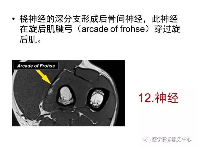 【PPT】肘关节MRI