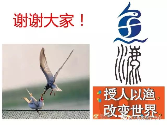 【PPT】肘关节MRI