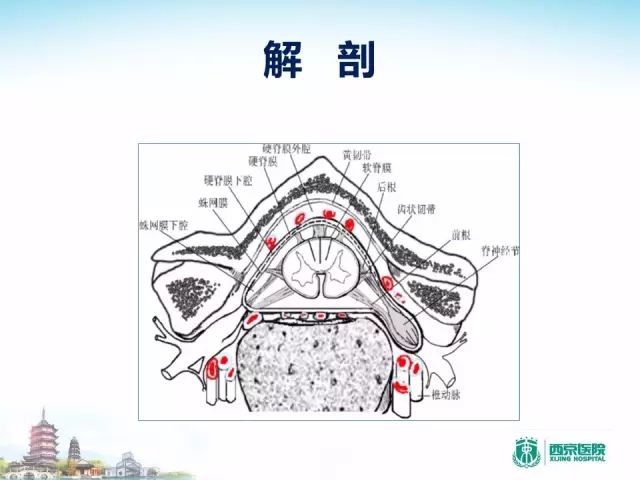 【PPT】容易忽视的腰椎退变MR表现