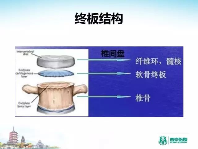 【PPT】容易忽视的腰椎退变MR表现