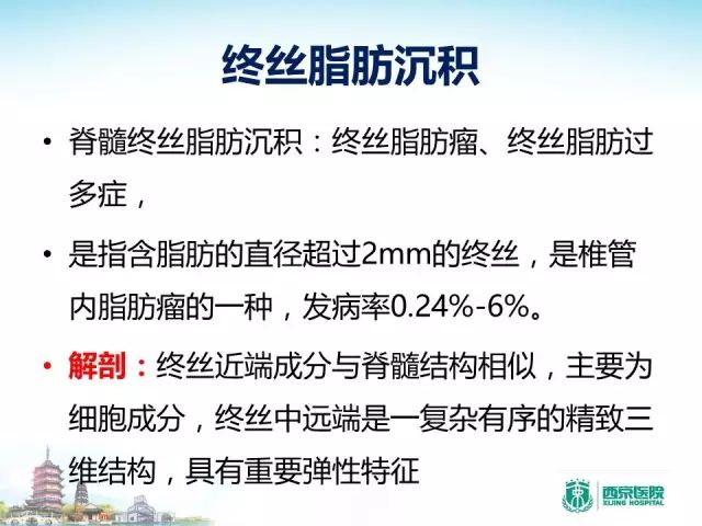 【PPT】容易忽视的腰椎退变MR表现