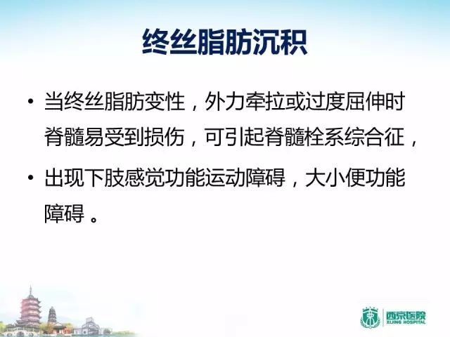 【PPT】容易忽视的腰椎退变MR表现