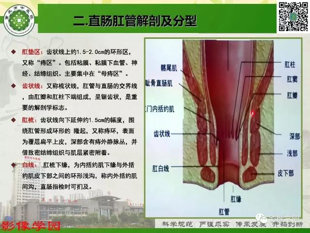 【PPT】复杂性肛瘘的MRI诊断