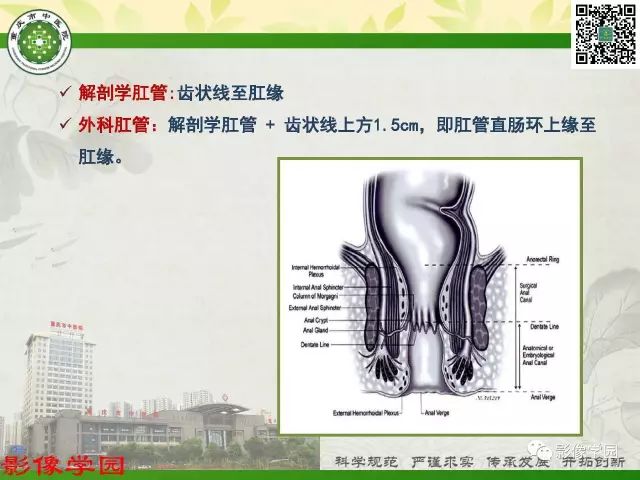 【PPT】复杂性肛瘘的MRI诊断