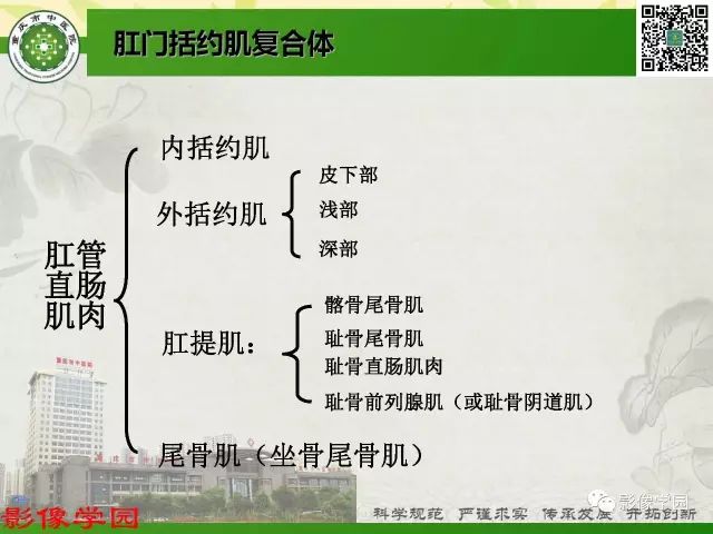 【PPT】复杂性肛瘘的MRI诊断