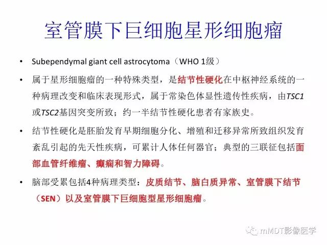 【PPT】侧脑室发育及常见肿瘤与肿瘤样病变的鉴别诊断