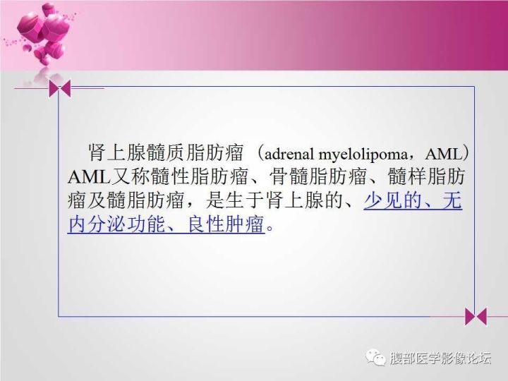 【病例】肾上腺髓质脂肪瘤1例CT及MR诊断与鉴别诊断