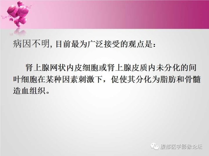 【病例】肾上腺髓质脂肪瘤1例CT及MR诊断与鉴别诊断