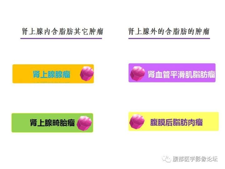 【病例】肾上腺髓质脂肪瘤1例CT及MR诊断与鉴别诊断