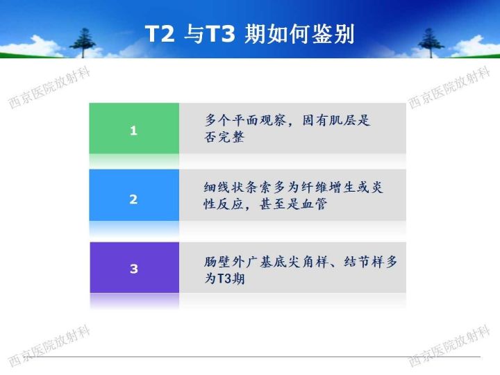 【PPT】直肠癌MRI诊断