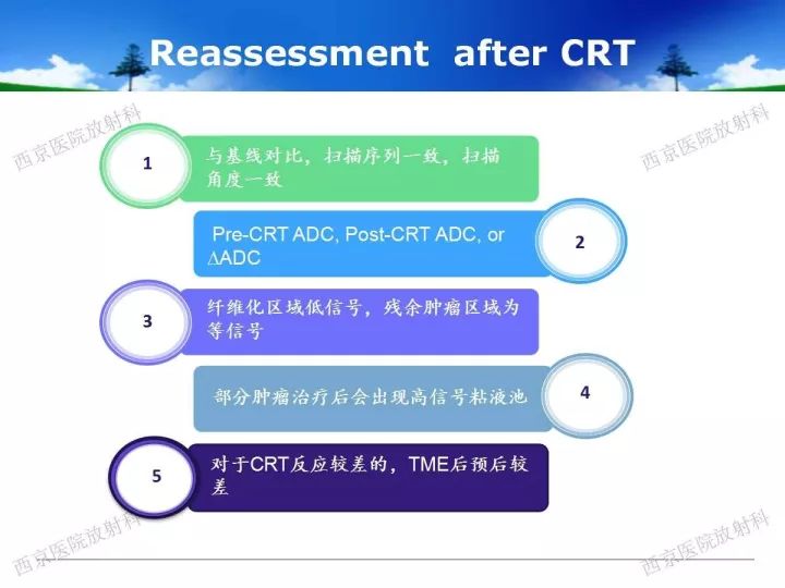 【PPT】直肠癌MRI诊断