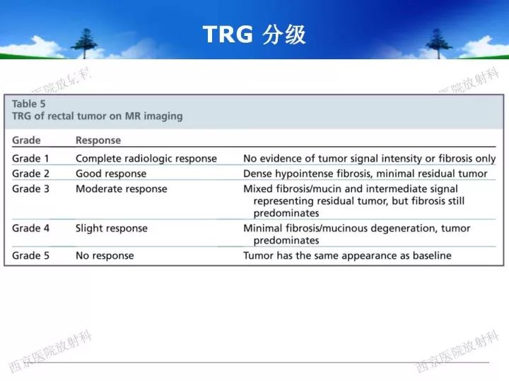 【PPT】直肠癌MRI诊断