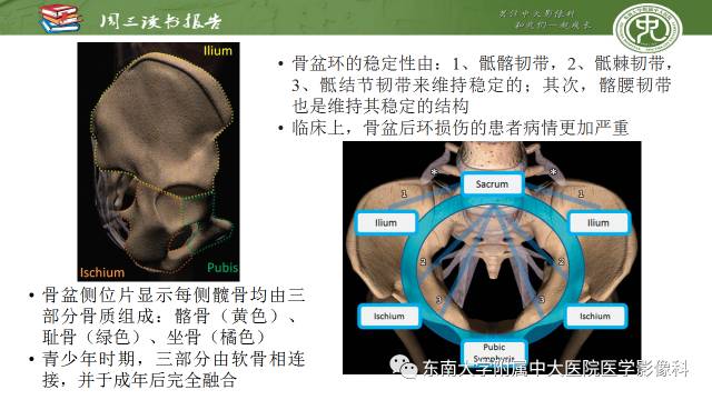 【PPT】骨盆环骨折-骨科医生想获知的内容