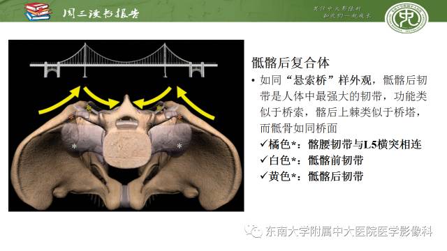 【PPT】骨盆环骨折-骨科医生想获知的内容