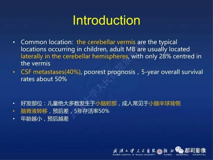 【PPT】后颅窝肿瘤性病变影像诊断